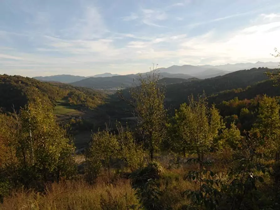 Immagine 37 di Attico in vendita  a Alto