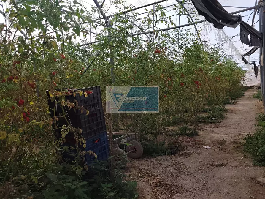 Immagine 14 di Attico in vendita  in CONTRADA GRANELLI a Pachino