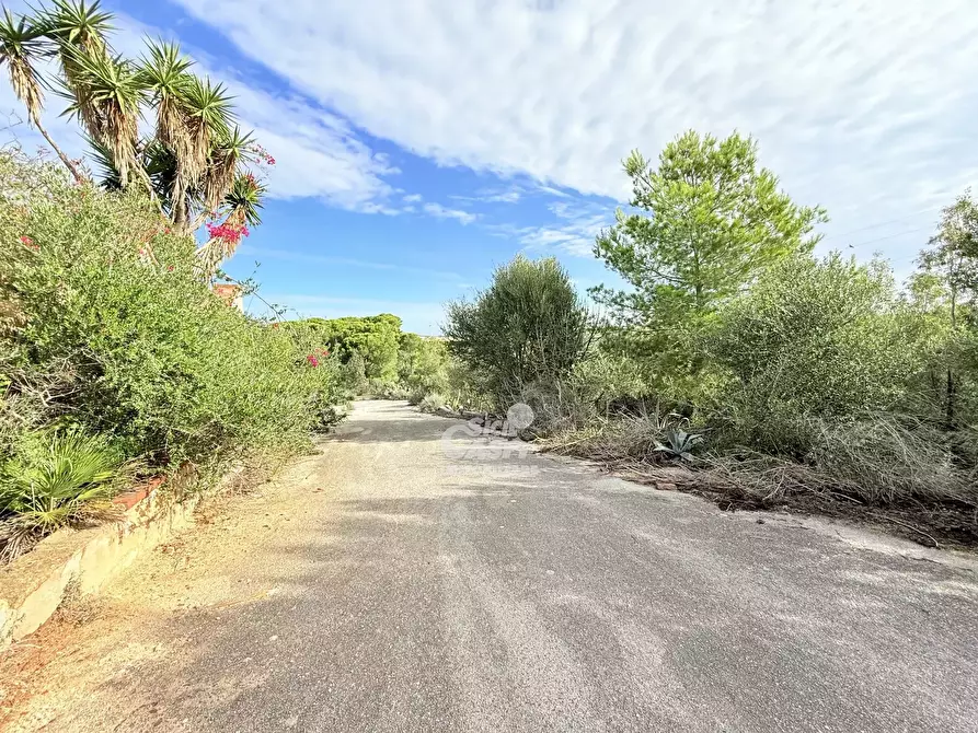 Immagine 14 di Terreno edificabile in vendita  a Marsala