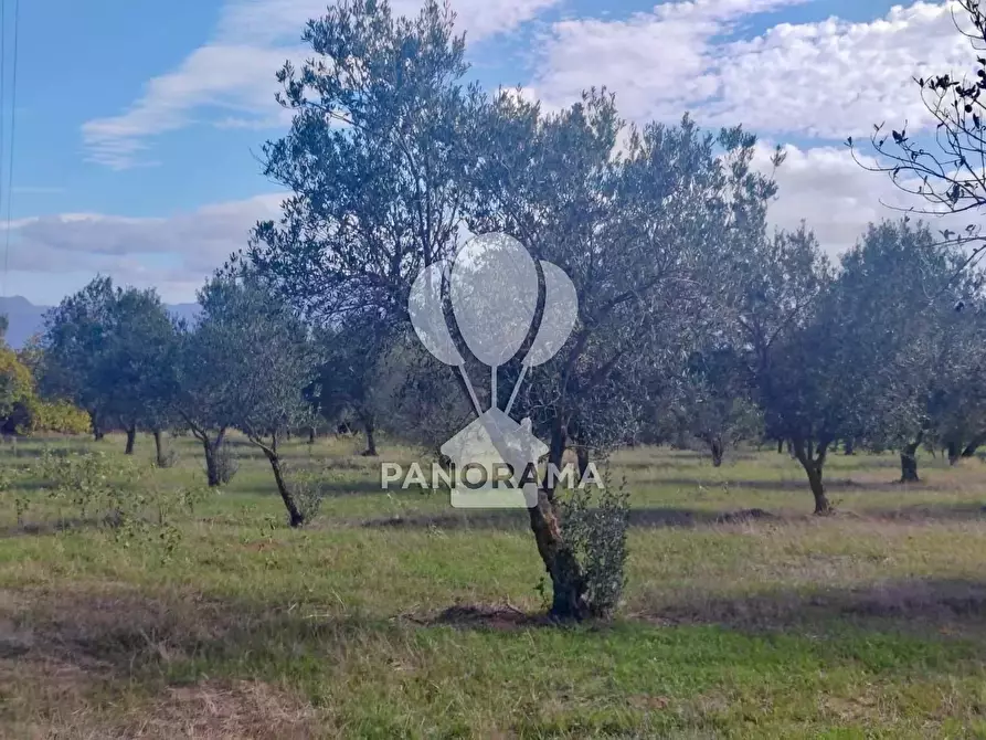 Immagine 28 di Terreno in vendita  in Contrada Manostalla a Balestrate