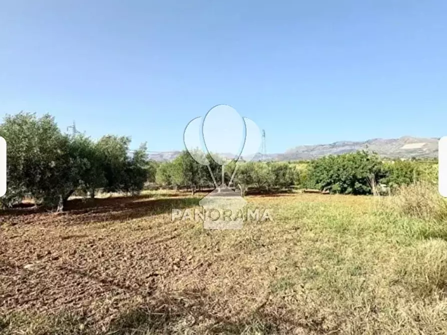 Immagine 17 di Terreno edificabile in vendita  in B&B falconeria a Partinico