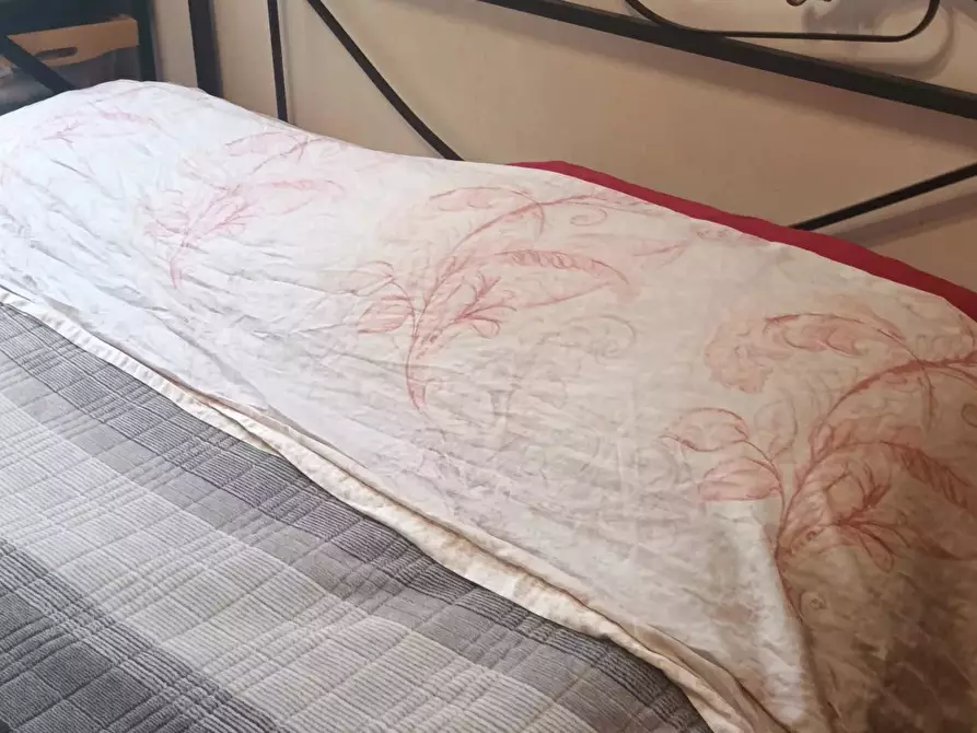 Immagine 2 di Casa trifamiliare in affitto  in via Catalani 75 a Milano