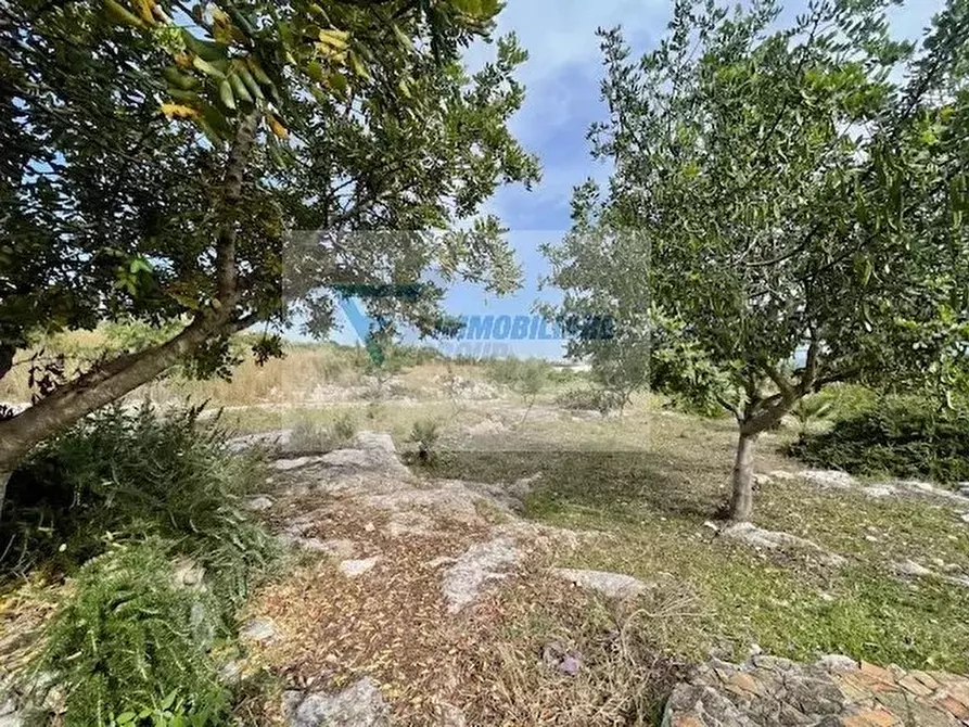 Immagine 28 di Terreno in vendita  in Strada Carancino a Siracusa