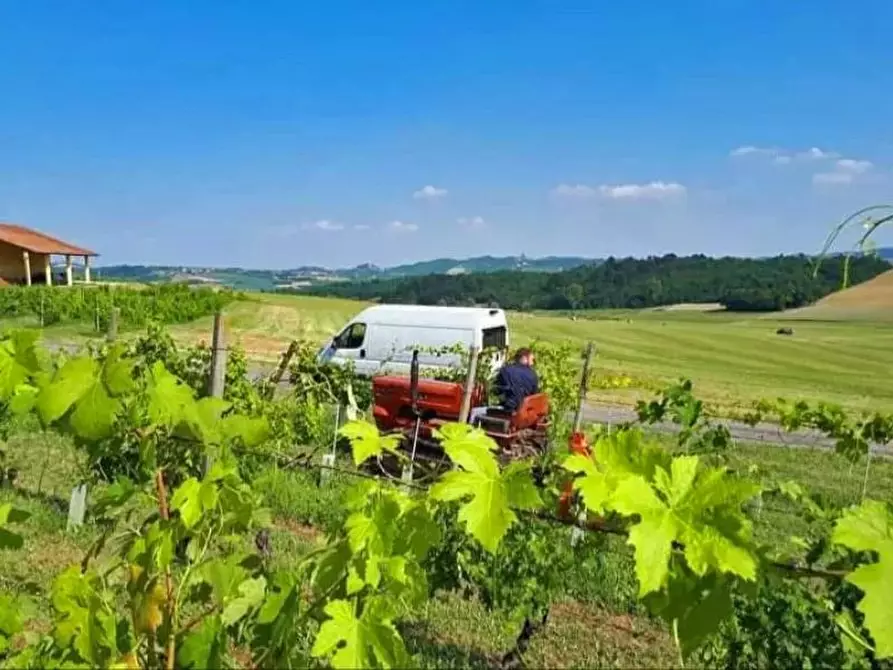 Immagine 7 di Attico in vendita  a Pontestura