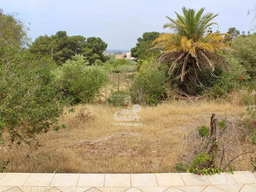 Immagine 11 di Terreno edificabile in vendita  a Marsala