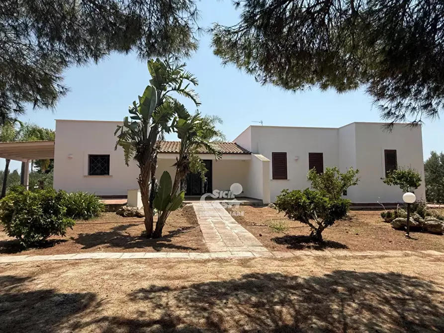 Immagine 46 di Terreno edificabile in vendita  a Marsala