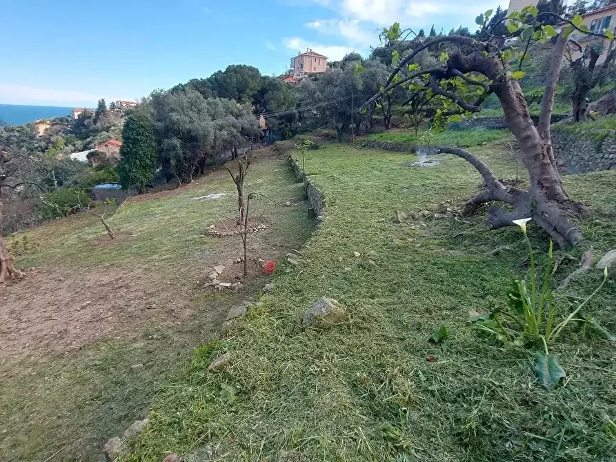 Immagine 7 di Terreno edificabile in vendita  a San Remo