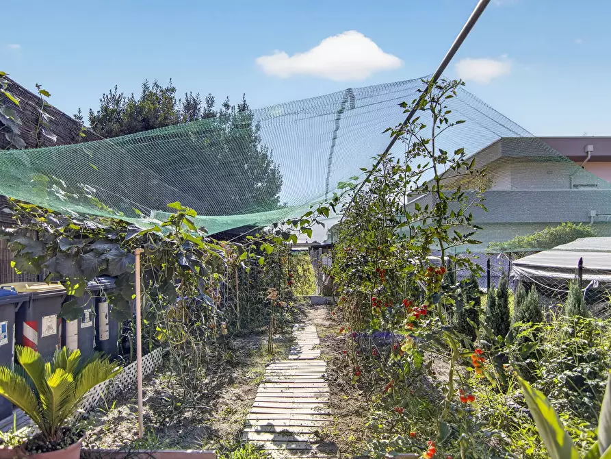 Immagine 28 di Casa trifamiliare in vendita  a Campagna Lupia