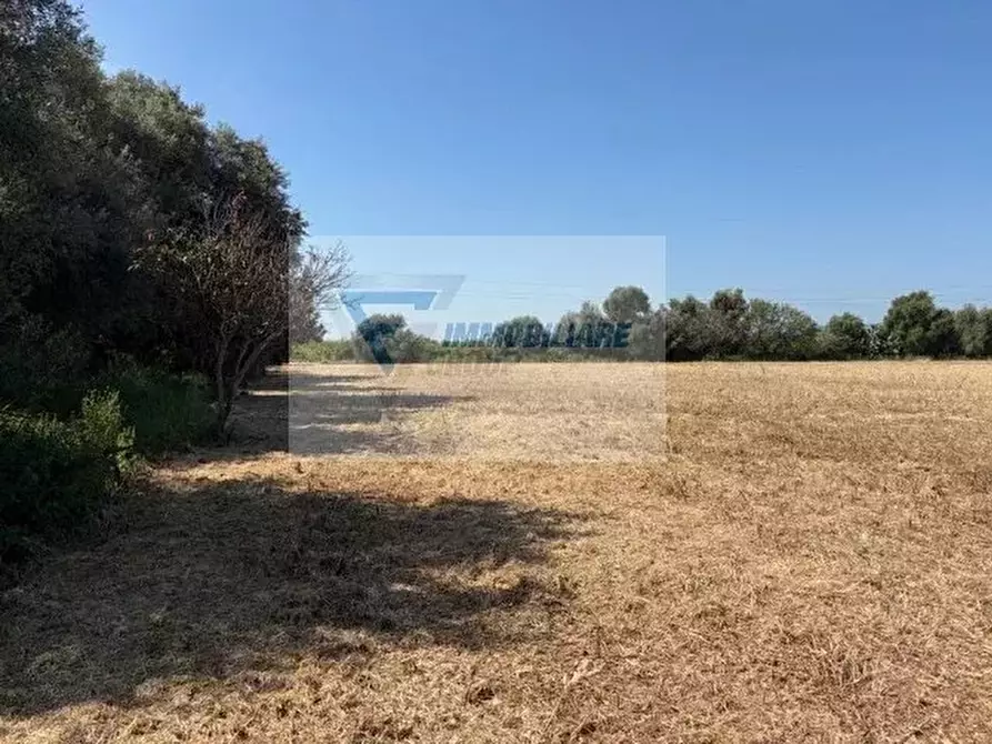 Immagine 3 di Terreno in vendita  in Strada Tremmilia a Siracusa