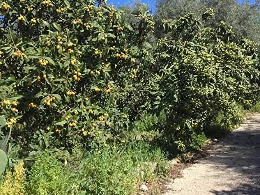 Immagine 1 di Terreno in vendita  a Siracusa