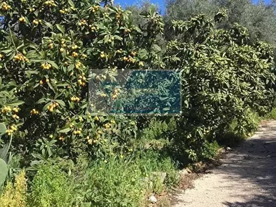 Immagine 1 di Terreno in vendita  a Siracusa