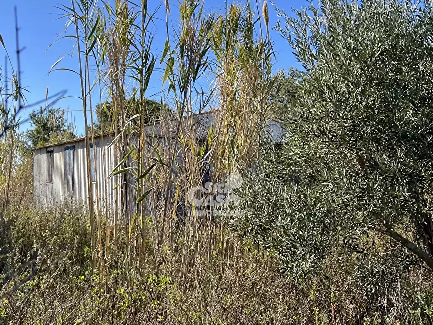 Immagine 24 di Terreno in vendita  a Marsala