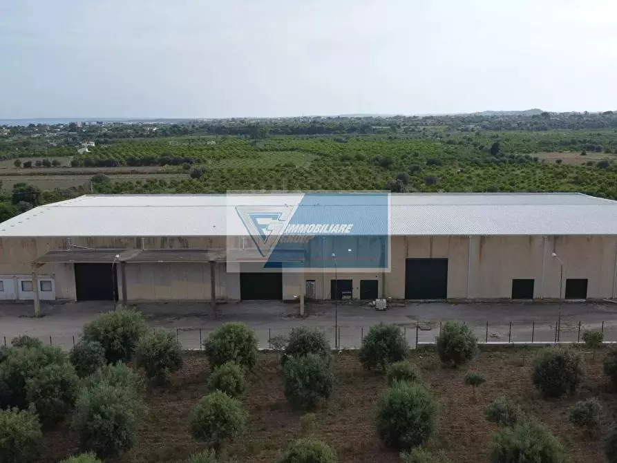 Immagine 7 di Casa bifamiliare in affitto  a Avola