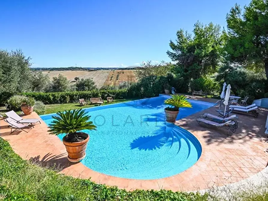 Immagine 6 di Terreno edificabile in vendita  in civitanova marche a Civitanova Marche