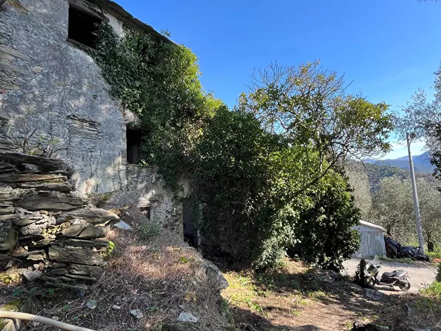 Immagine 3 di Terreno edificabile in vendita  in paggi a Carasco