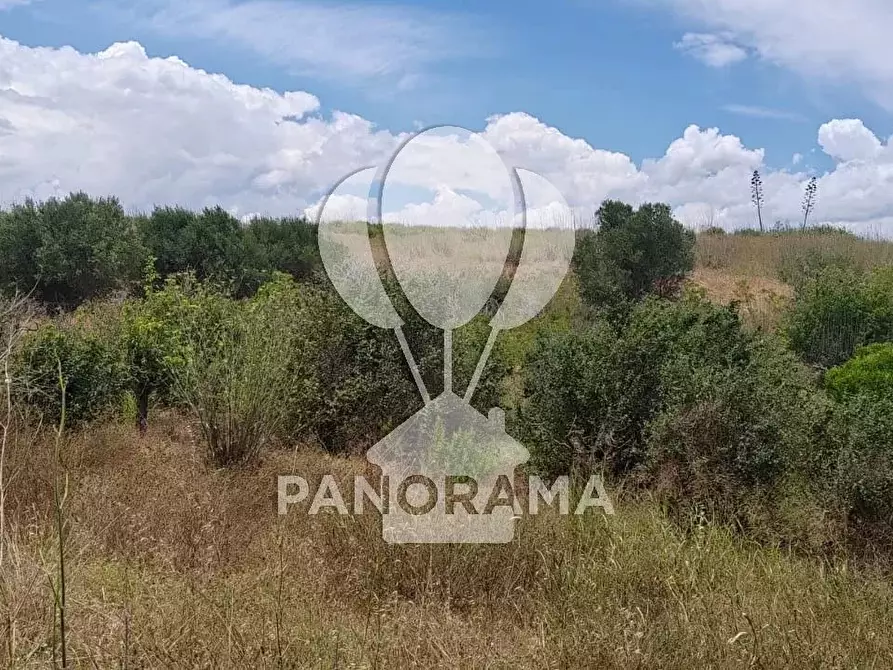 Immagine 7 di Terreno in vendita  in SS 113 Settentrionale Sicula a Partinico