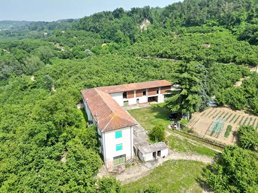 Immagine 2 di Terreno edificabile in vendita  a Albaretto Della Torre