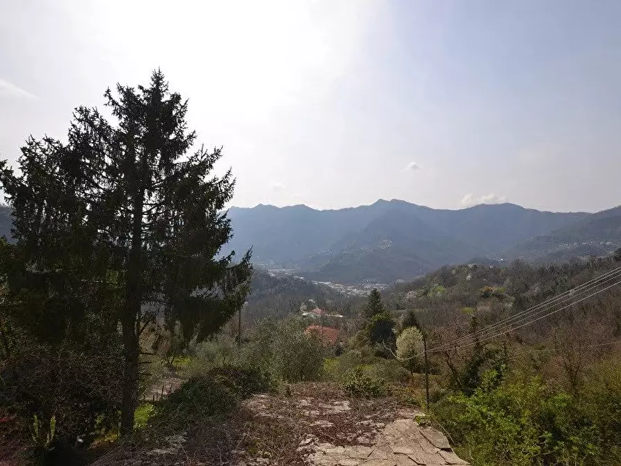 Immagine 17 di Terreno edificabile in vendita  a Avegno