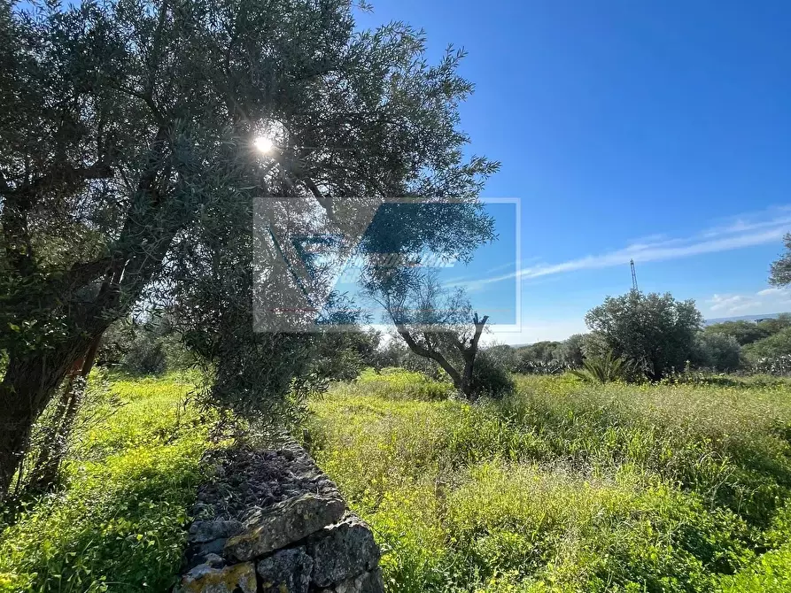 Immagine 8 di Terreno in vendita  in Trav. Mulino Marino a Siracusa