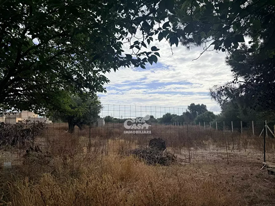 Immagine 3 di Terreno edificabile in vendita  a Marsala