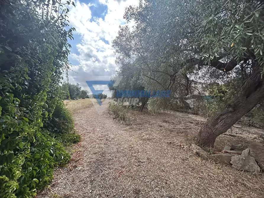 Immagine 17 di Terreno edificabile in vendita  in Traversa Masseria Gargallo a Siracusa