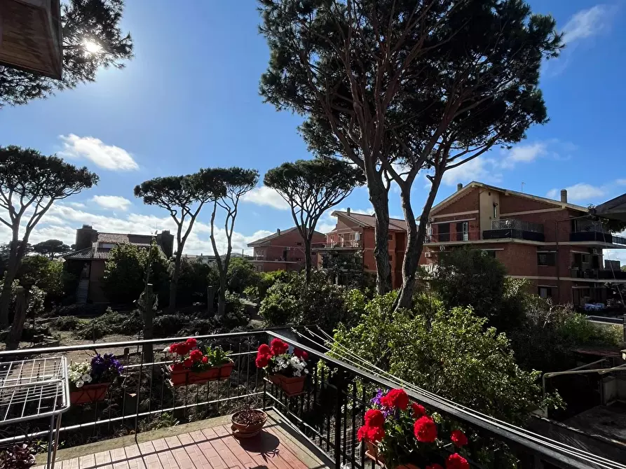 Immagine 11 di Terreno edificabile in vendita  in Viale Adriatico, 34 a Anzio