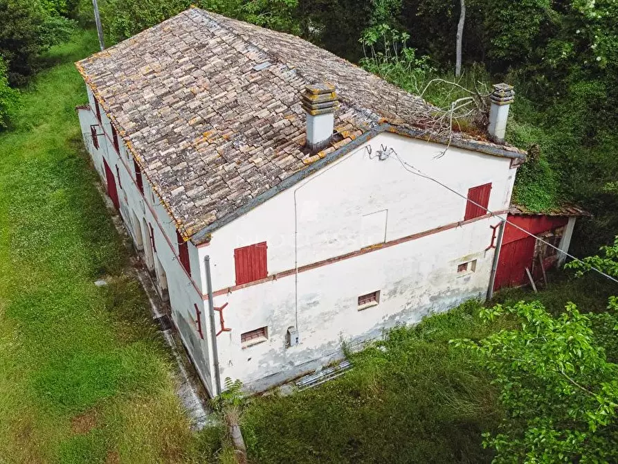 Immagine 4 di Terreno edificabile in vendita  a Belvedere Ostrense