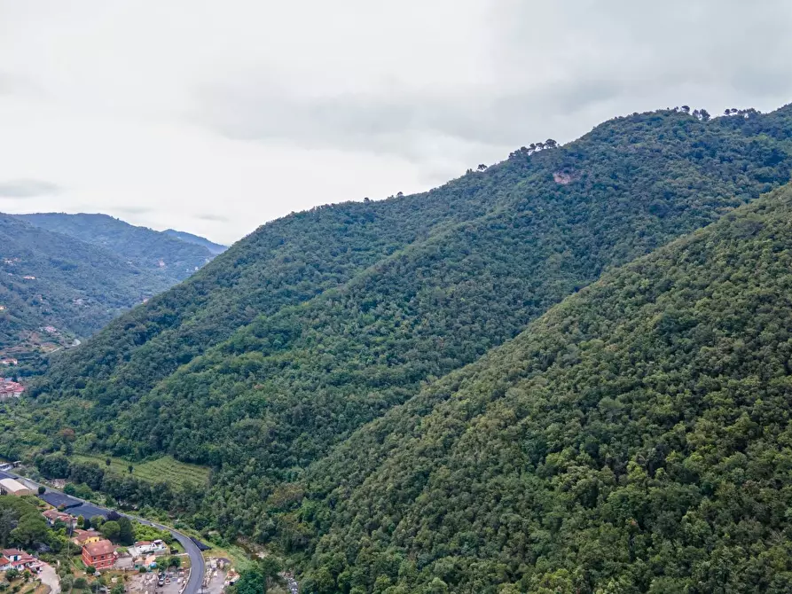 Immagine 23 di Terreno edificabile in vendita  in Regione Cartiera a Apricale