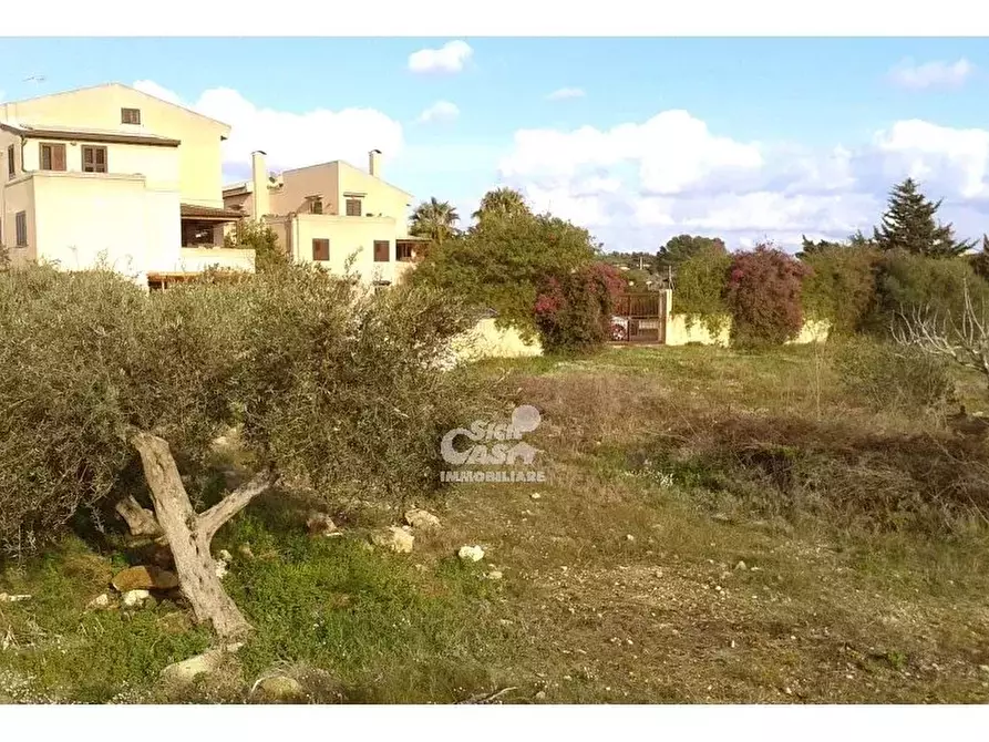 Immagine 15 di Terreno in vendita  a Marsala