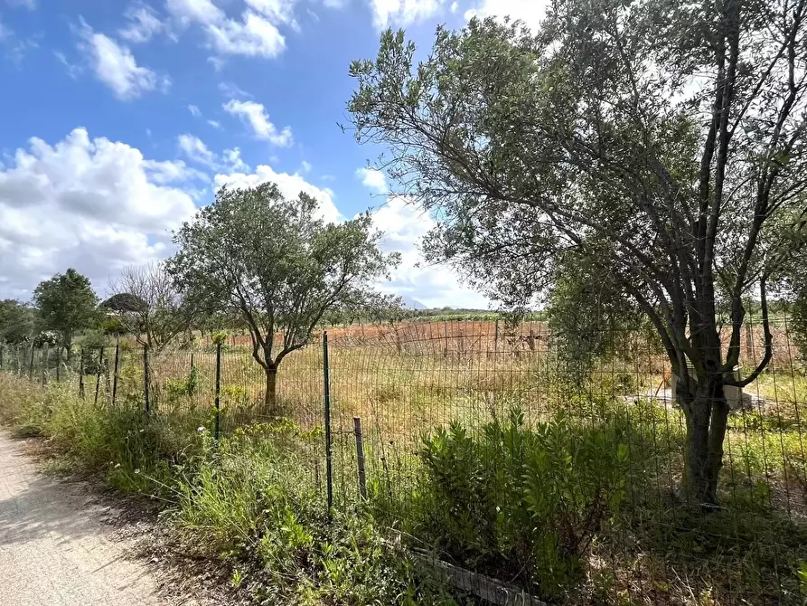 Immagine 1 di Terreno in vendita  in Contrada Cassarà a Partinico