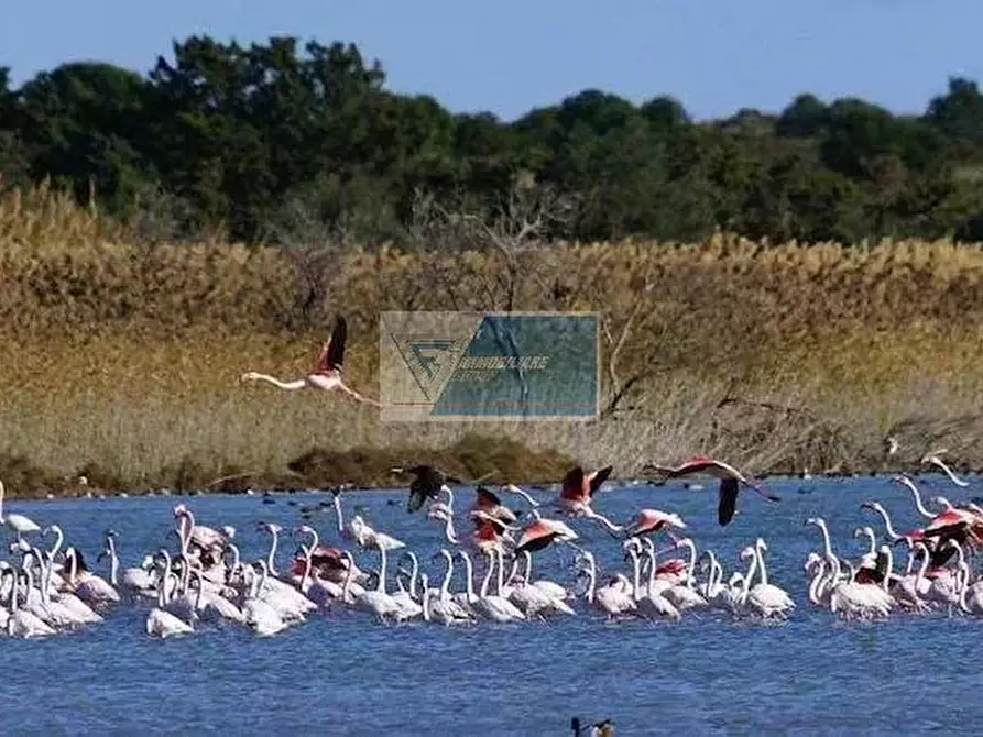 Immagine 35 di Terreno edificabile in affitto  in via pantelleria calabernardo a Noto