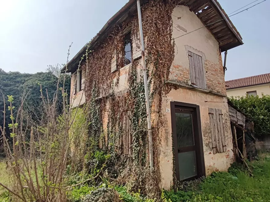 Immagine 4 di Terreno edificabile in vendita  a Santa Lucia Di Piave