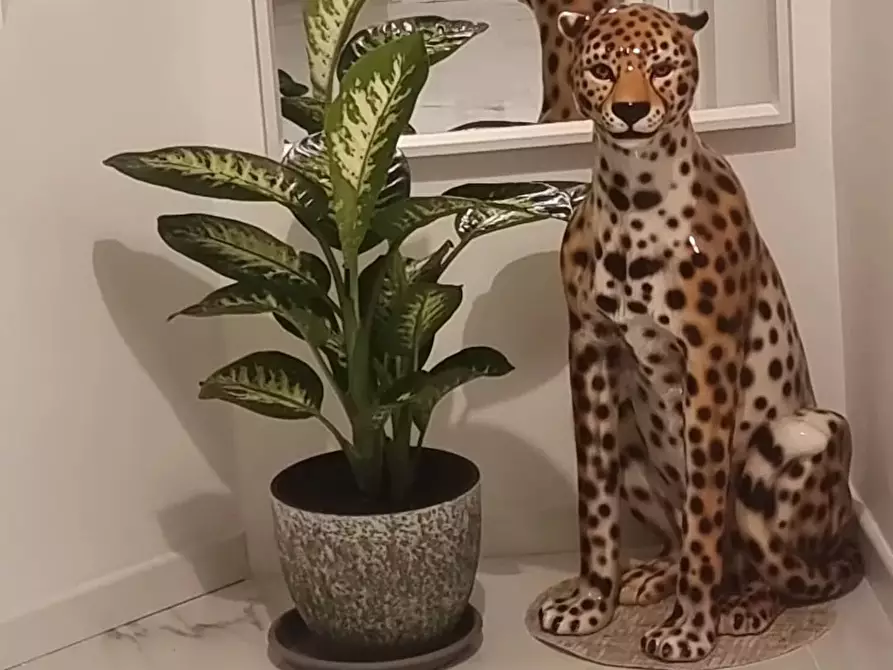 Immagine 15 di Casa trifamiliare in affitto  in Via Giuseppe Luosi a Milano