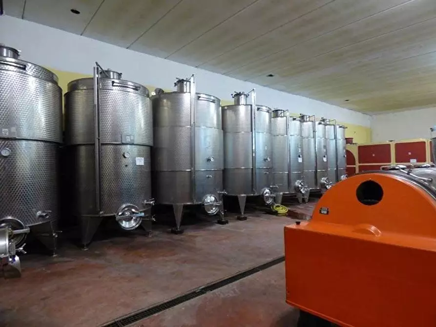 Immagine 19 di Attico in vendita  a Cassinasco