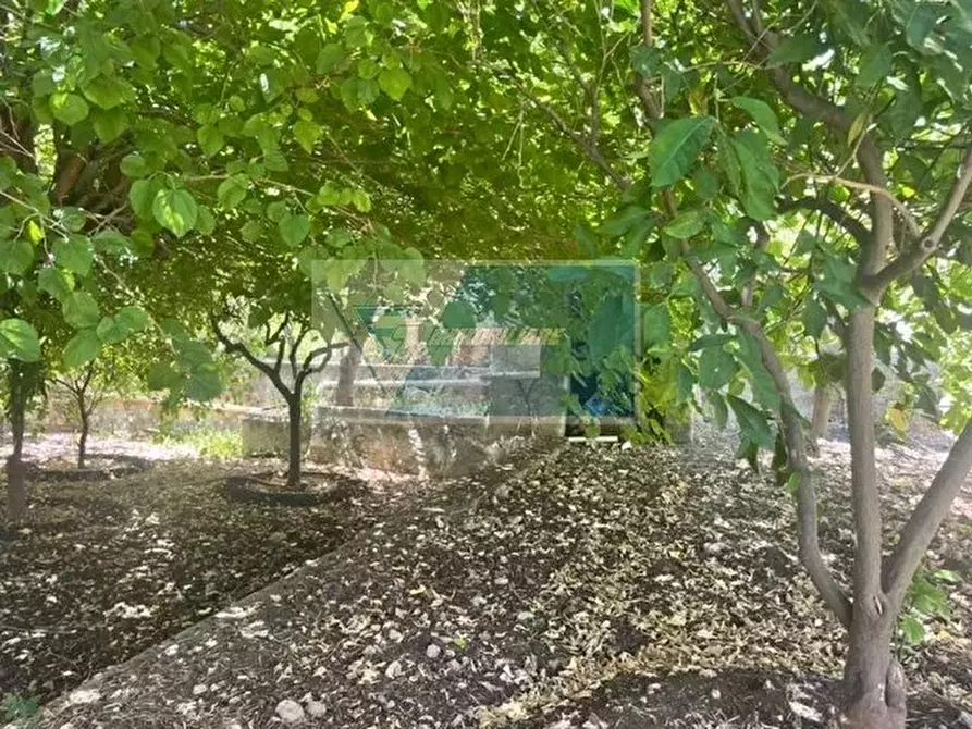 Immagine 26 di Terreno edificabile in vendita  in Via Monti Climiti a Buccheri