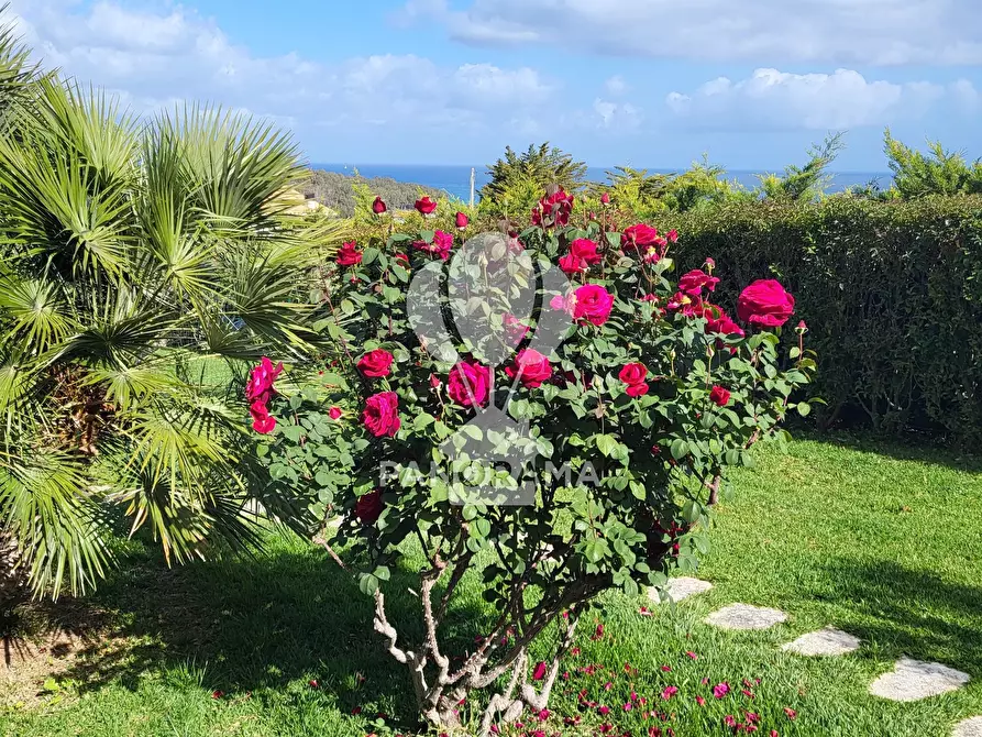 Immagine 20 di Terreno edificabile in vendita  in Costiera Occidentale Partenicense Balestrate a Balestrate