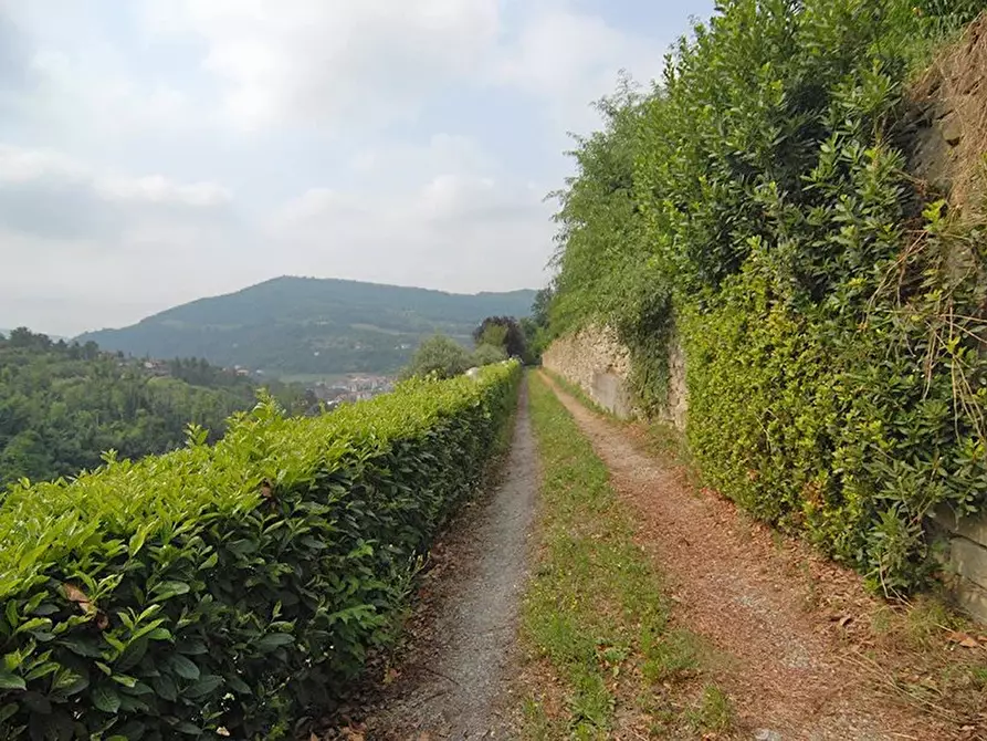 Immagine 21 di Terreno edificabile in vendita  a Bergolo