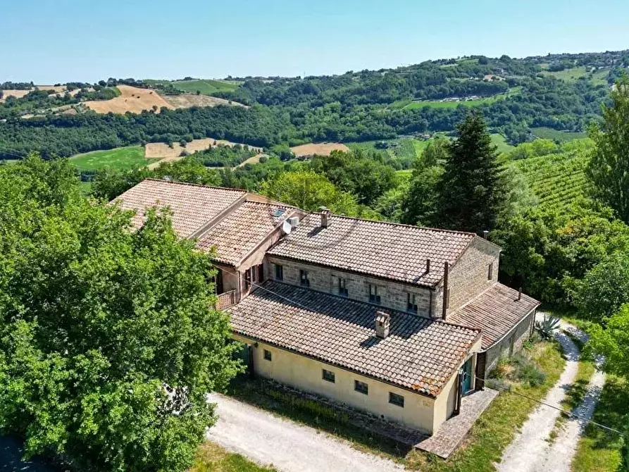 Immagine 16 di Terreno edificabile in vendita  in Serra San Quirico a Serra San Quirico
