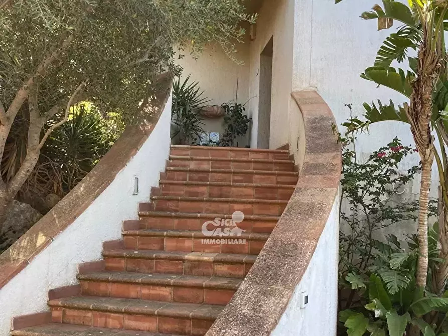 Immagine 43 di Terreno edificabile in vendita  a Marsala