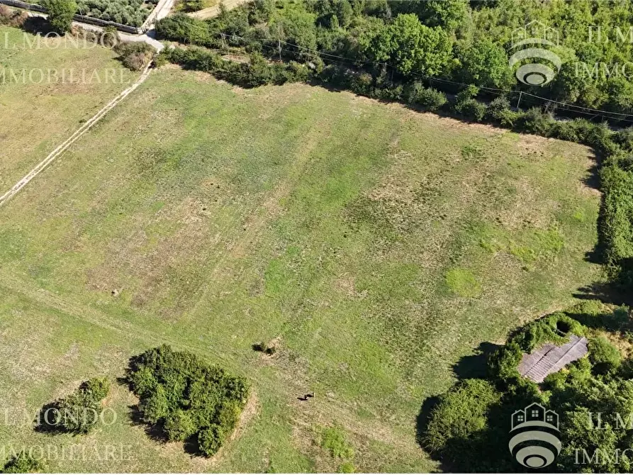 Immagine 7 di Terreno in vendita  in Località Albanetta a Palombara Sabina