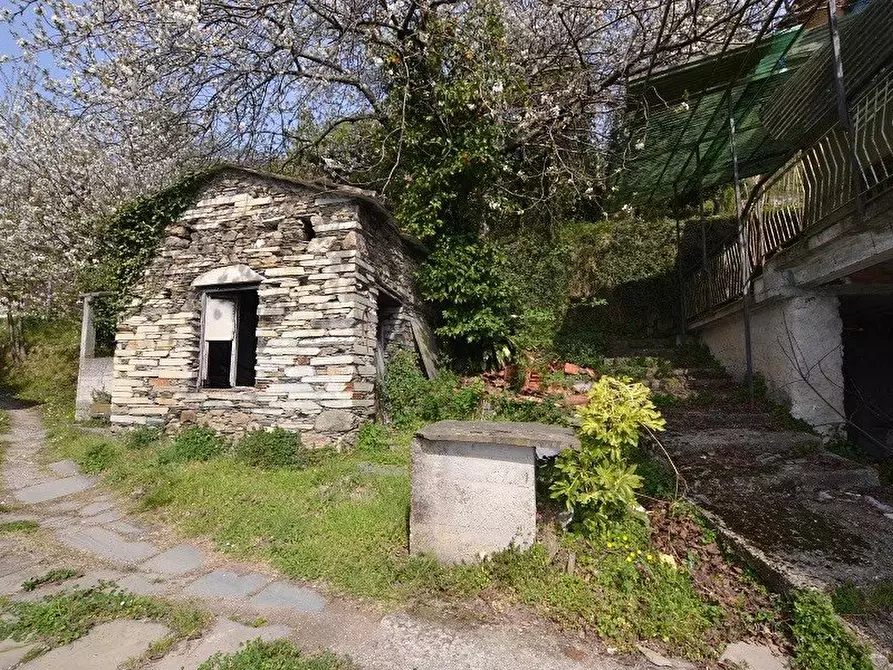 Immagine 3 di Terreno edificabile in vendita  a Avegno