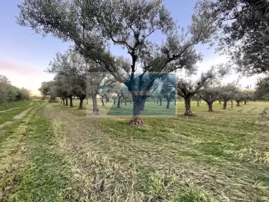 Immagine 9 di Terreno in vendita  in C.da  Carancino a Siracusa