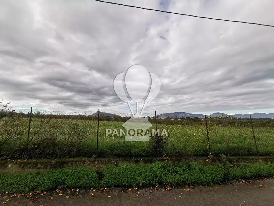 Immagine 2 di Terreno in vendita  in B&B falconeria a Partinico