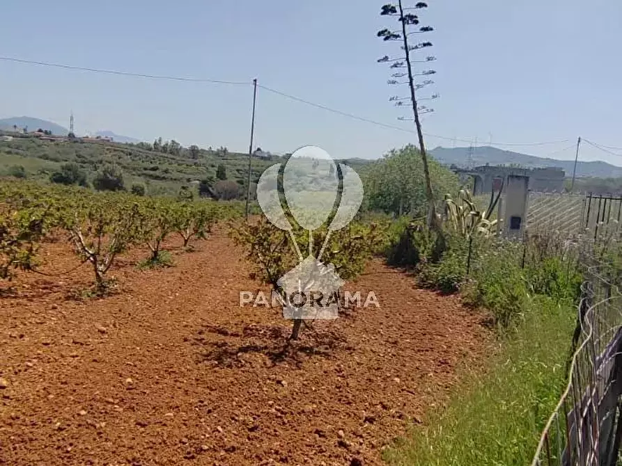 Immagine 6 di Terreno in vendita  in Via Adda Partinico a Partinico