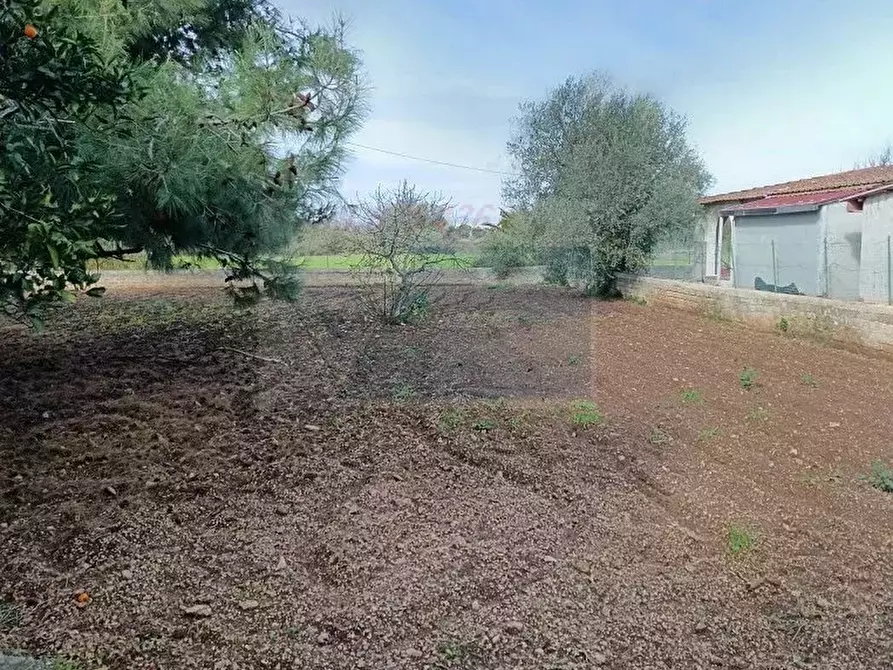 Immagine 14 di Terreno in vendita  in via Ognina a Siracusa