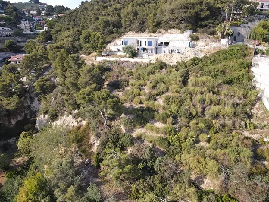 Immagine 10 di Terreno edificabile in vendita  a Bordighera