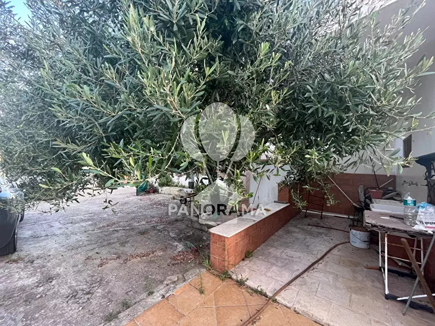 Immagine 11 di Terreno edificabile in vendita  in Contrada Velez a Partinico