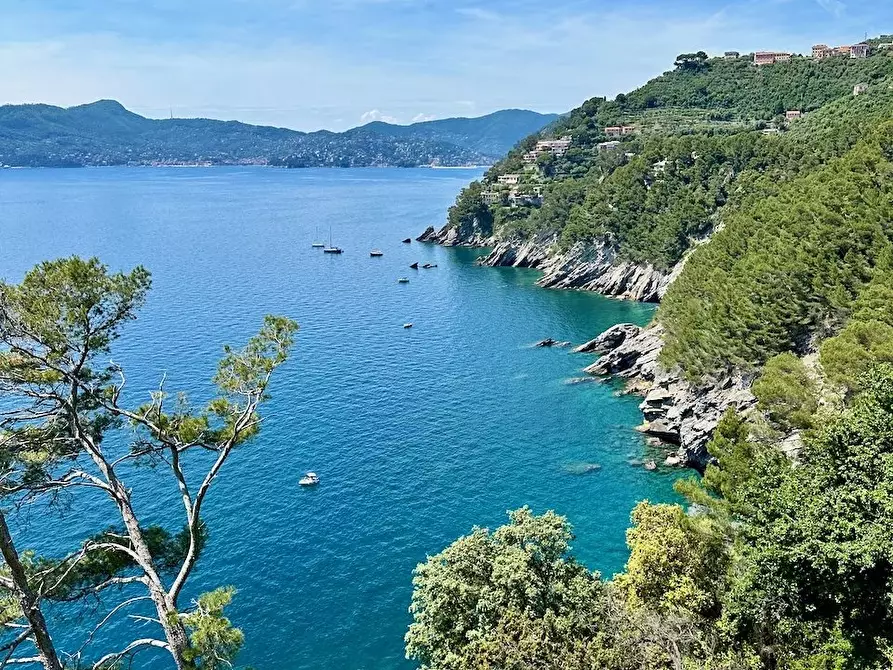 Immagine 45 di Terreno edificabile in vendita  in Via Tigullio Rocks a Chiavari