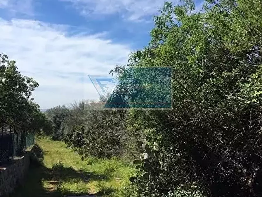 Immagine 4 di Terreno in vendita  a Siracusa