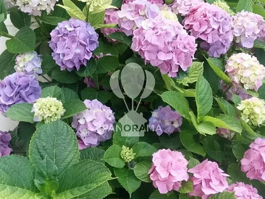 Immagine 37 di Terreno edificabile in vendita  in Costiera Occidentale Partenicense Balestrate a Balestrate